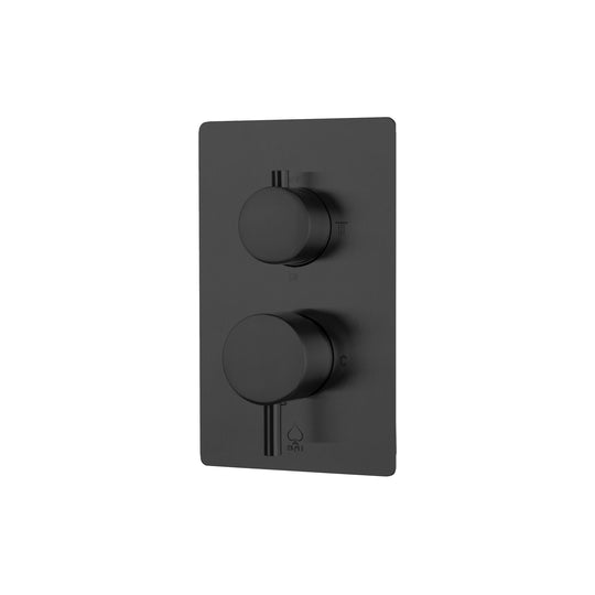 BAI 2102 Concealed Shower Mixer with Water Pressure Balance Valve in Matte Black Finish