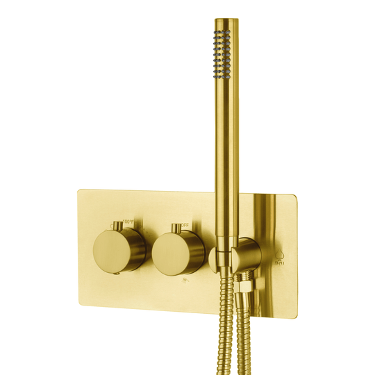 BAI 2117 Concealed Thermostatic Shower Mixer Valve with Handheld Shower in Brushed Gold Finish