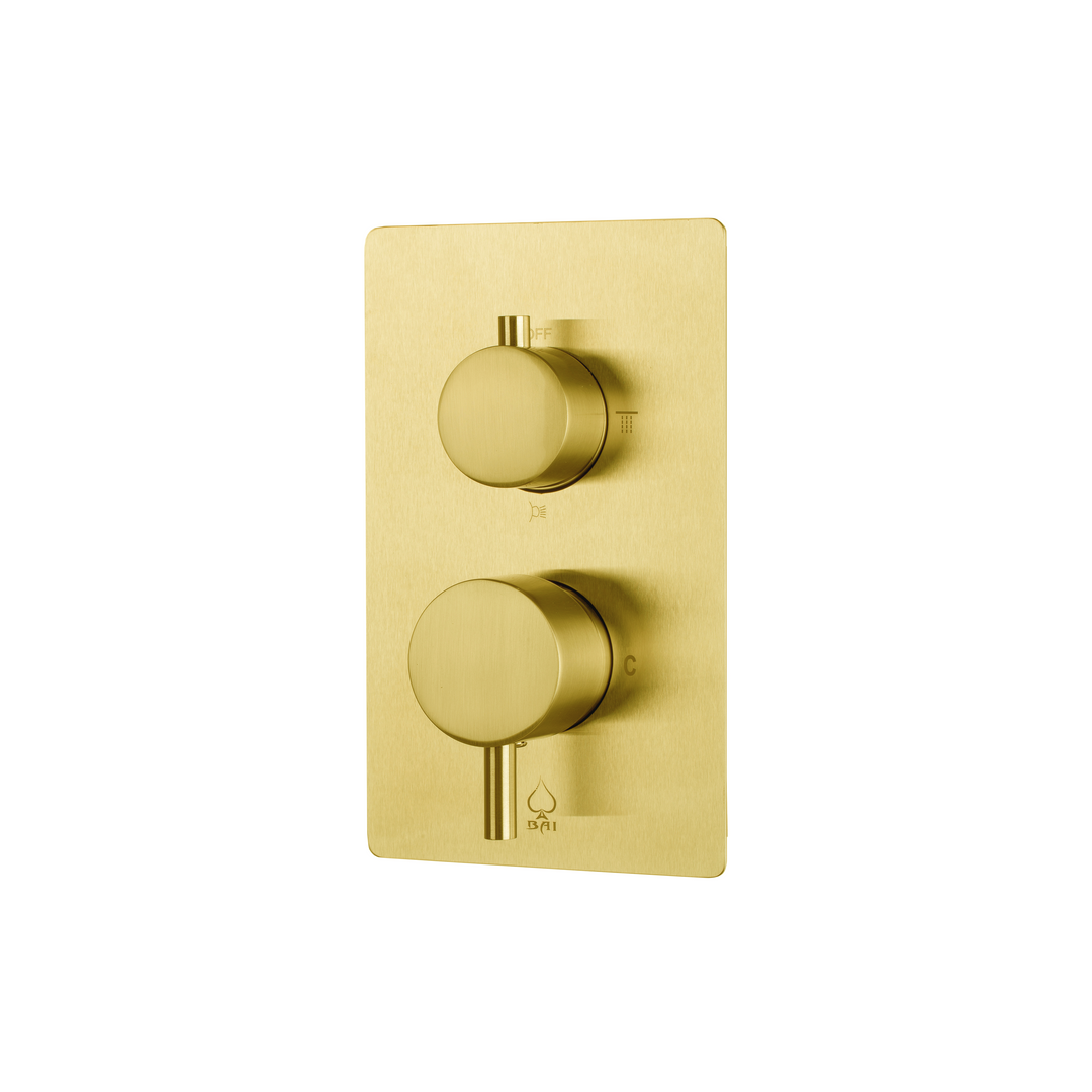BAI 2119 Concealed Shower Mixer with Water Pressure Balance Valve in Brushed Gold Finish