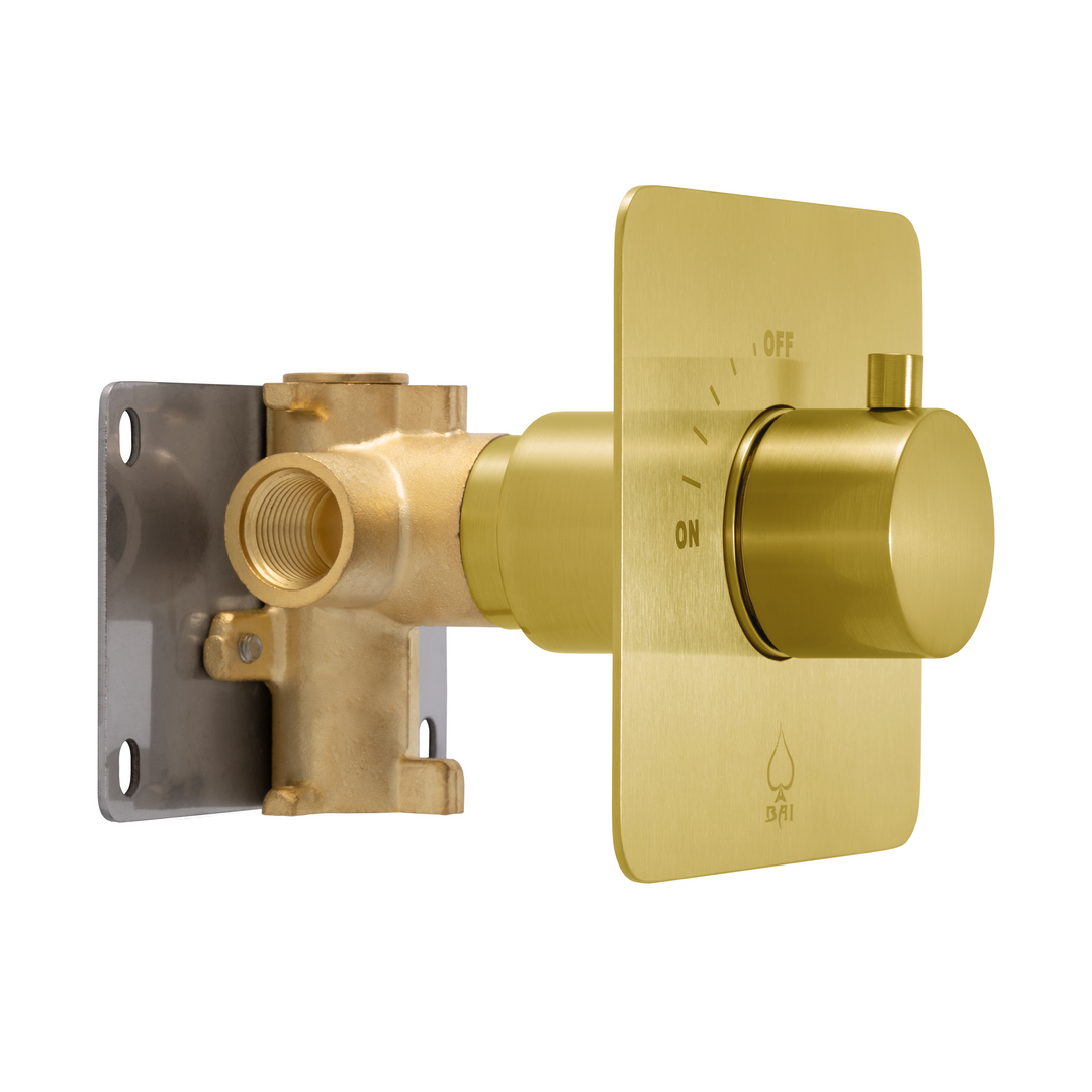 BAI 2121 Concealed 1 Function ON/OFF Shower Valve in Brushed Gold Finish