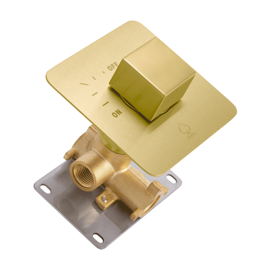 BAI 2123 Concealed 1 Function ON/OFF Shower Valve in Brushed Gold Finish